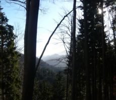 LAJNAR 1549, 17.02.2019 - PS PT Nova Gorica